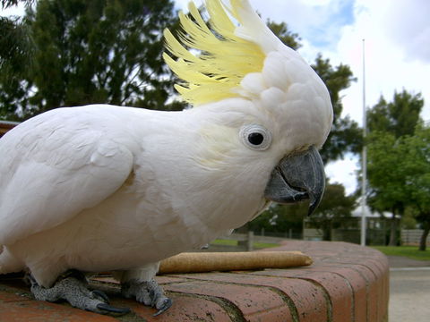 Myuna Farm - Hotel Accommodation 1