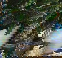 Noreen's Seaside Shop - Hotel Accommodation