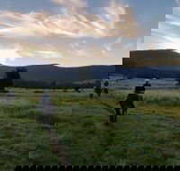 Numinbah Valley Adventure  Camping - Hotel Accommodation