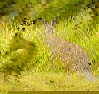 Perseverance - Hotel Accommodation