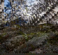 Pheasants Peak Walking Track - Hotel Accommodation