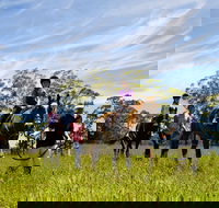 Port Macquarie Horse Riding Centre - Hotel Accommodation