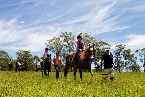 Port Macquarie Horse Riding Centre - Hotel Accommodation 0