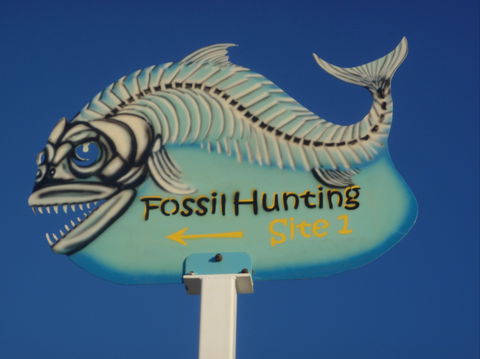 Richmond Fossil Hunting Sites - Hotel Accommodation 1