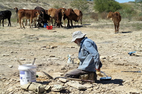 Richmond Fossil Hunting Sites - Hotel Accommodation 2