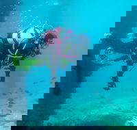 Shellharbour Scuba  and Photography Centre - Hotel Accommodation
