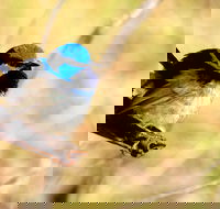 Shepherds Bush - Hotel Accommodation