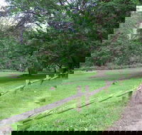 St Albans Reserve - Hotel Accommodation