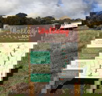 The Wallaby Track - Hotel Accommodation
