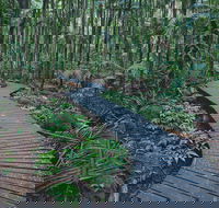 The Channon Protesters Falls Nimbin and Mount Nardi - Hotel Accommodation