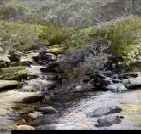 Thredbo River Track - Hotel Accommodation