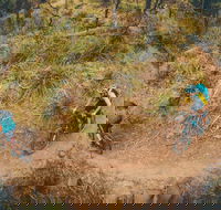 Trevallyn Dam - Hotel Accommodation