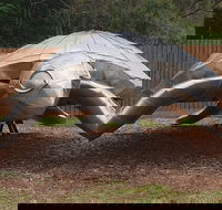 Underwater Marine Sculptures - Hotel Accommodation