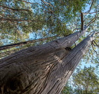 Wallumatta Nature Reserve - Hotel Accommodation
