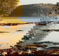 Wangi Wangi - Hotel Accommodation