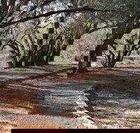 Warrego Floodplain walking track - Hotel Accommodation