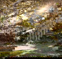 Wendy Whiteley's Secret Garden - Hotel Accommodation