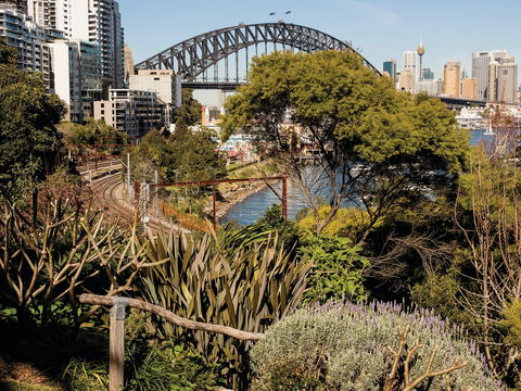 Wendy Whiteley's Secret Garden - Hotel Accommodation 2