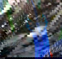 Wildlife Habitat - Hotel Accommodation