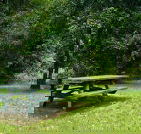Williams River picnic area