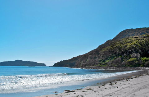 Yacaaba Headland Walking Track - Hotel Accommodation 0