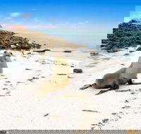 Abrolhos Islands - Hotel Accommodation