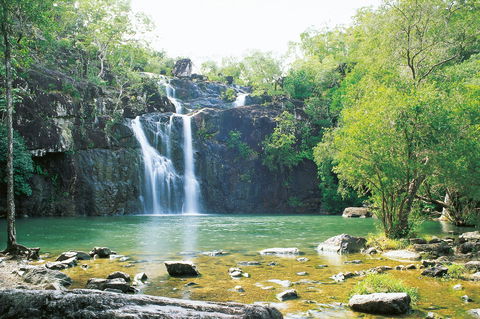 Airlie Beach To Cedar Creek Falls - Hotel Accommodation 0