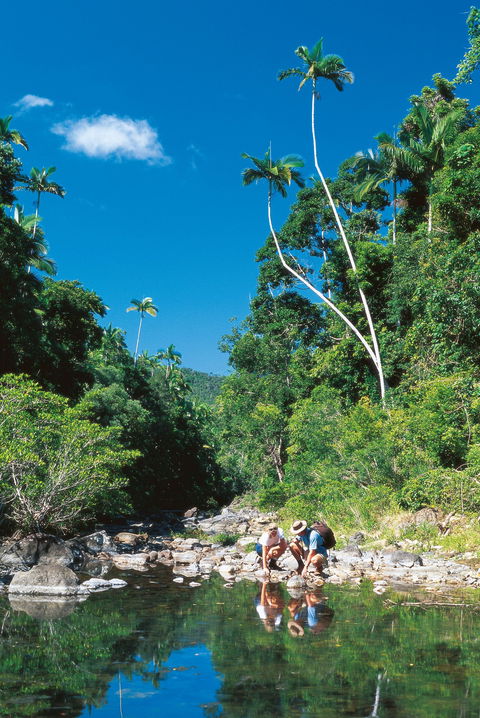 Airlie Beach To Cedar Creek Falls - Hotel Accommodation 1