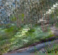 Anabranch Loop Track - Hotel Accommodation