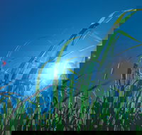 Bakers Creek - Hotel Accommodation