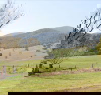 Banimboola Creek Rest Area - Hotel Accommodation