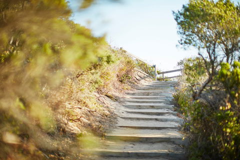 Coppins Walk Track (part Of The Coastal Walk) - Hotel Accommodation 0