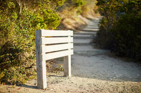 Coppins Walk Track (part Of The Coastal Walk) - Hotel Accommodation 1