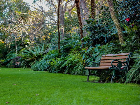 EG Waterhouse National Camellia Gardens - Hotel Accommodation 0