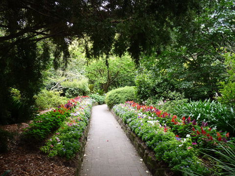 EG Waterhouse National Camellia Gardens - Hotel Accommodation 1