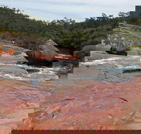 FR Berry Reserve - Hotel Accommodation