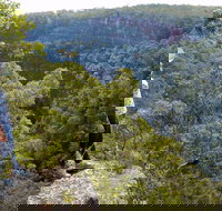 Glenbrook Gorge Track - Hotel Accommodation