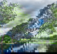 Gold Coast Regional Botanic Gardens - Hotel Accommodation