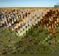 Gulf Region - Hotel Accommodation