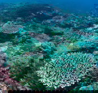 Hanging Rock Dive Site - Hotel Accommodation