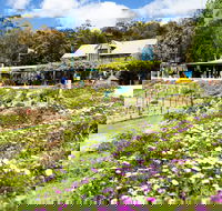 Kate's Berry Farm - Hotel Accommodation