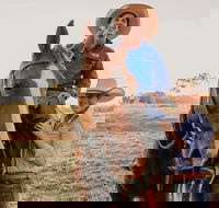 Katherine Outback Experience - Horse Riding Experience - Hotel Accommodation