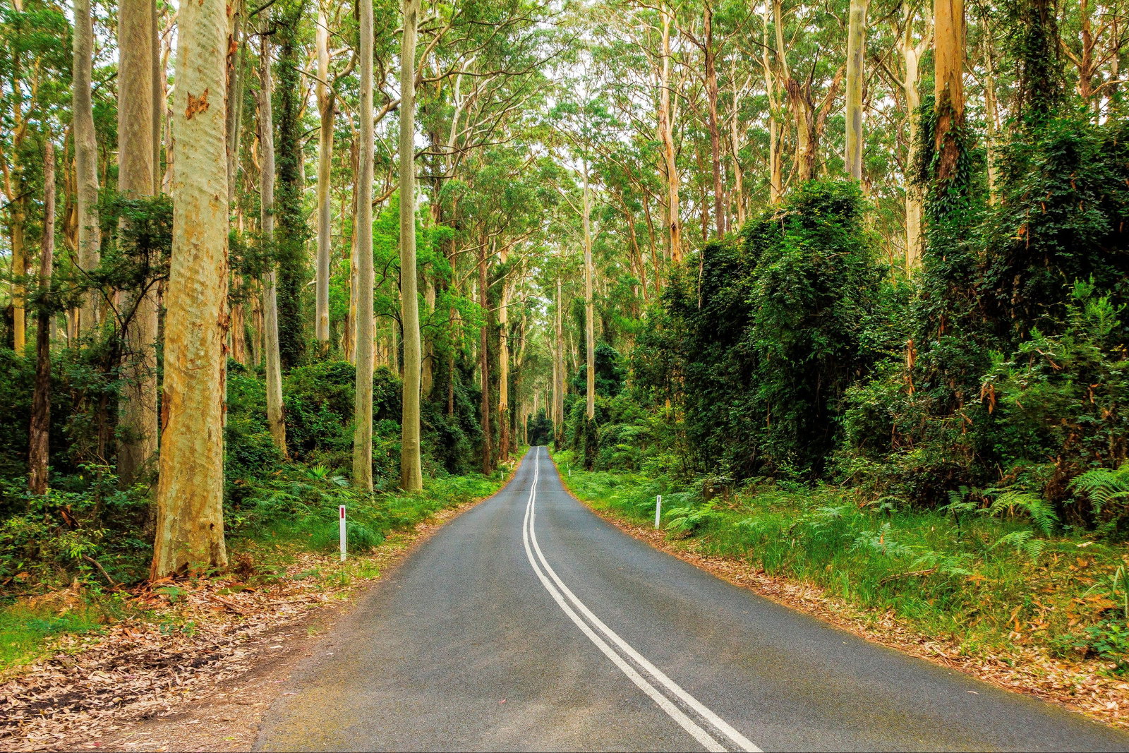 Kioloa NSW Hotel Accommodation