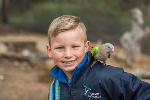 Kyabram Fauna Park - Hotel Accommodation 2