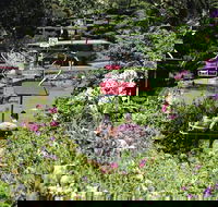 Launceston Gorge Scenic Chairlift - Hotel Accommodation