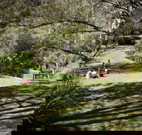 Leura Cascades picnic area - Hotel Accommodation
