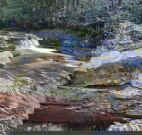 Liffey Falls Reserve - Hotel Accommodation