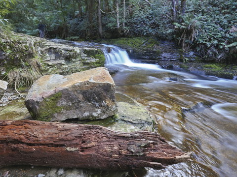 Liffey Falls Reserve - Hotel Accommodation 0