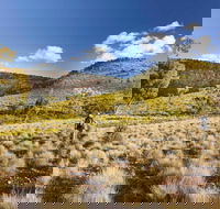 Little Mountain Walking Track - Hotel Accommodation