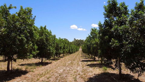 MacNuts WA Shop And Factory - Hotel Accommodation 0